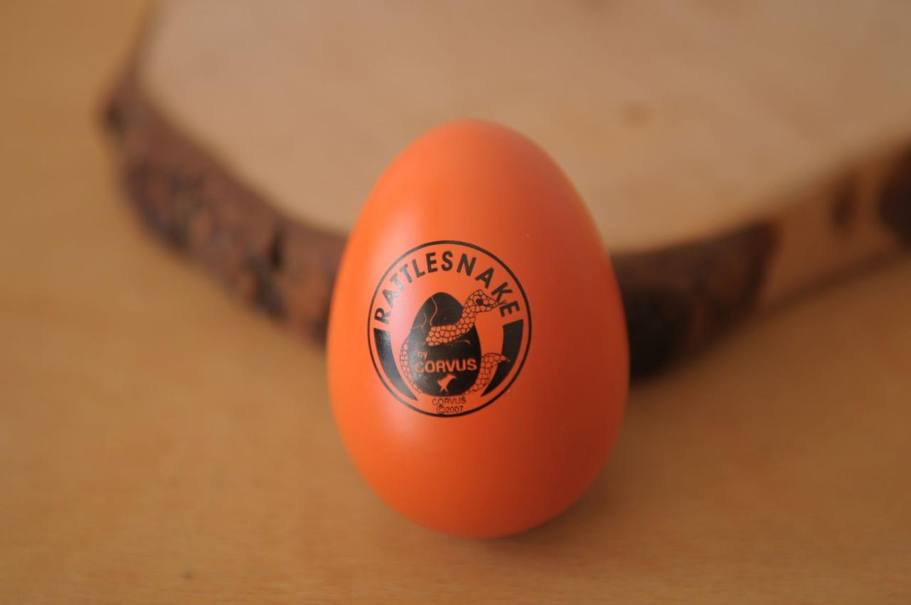 "Maraca" in the shape of a Corvus egg