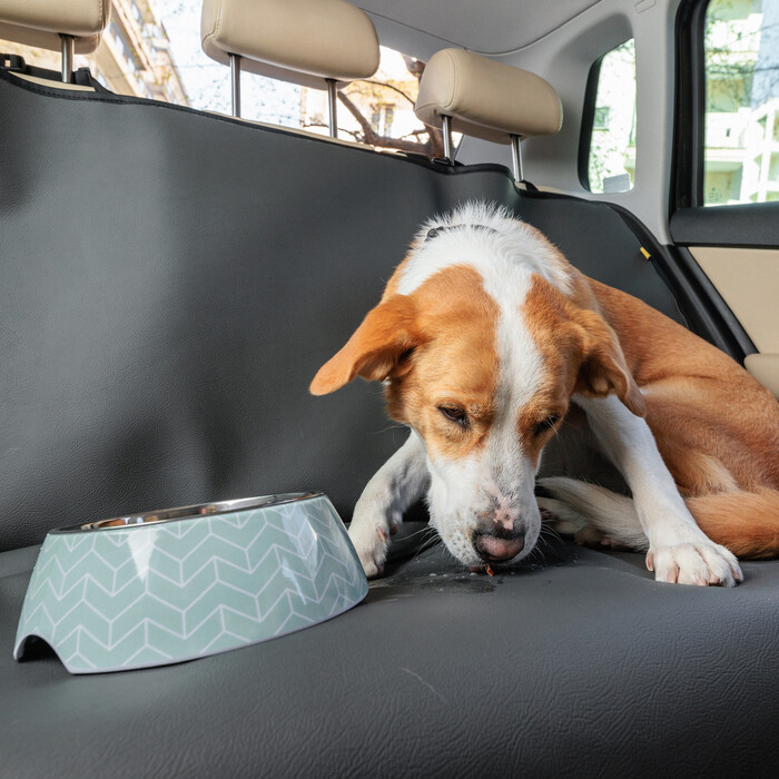 Waterproof Car Seat Dog Cover