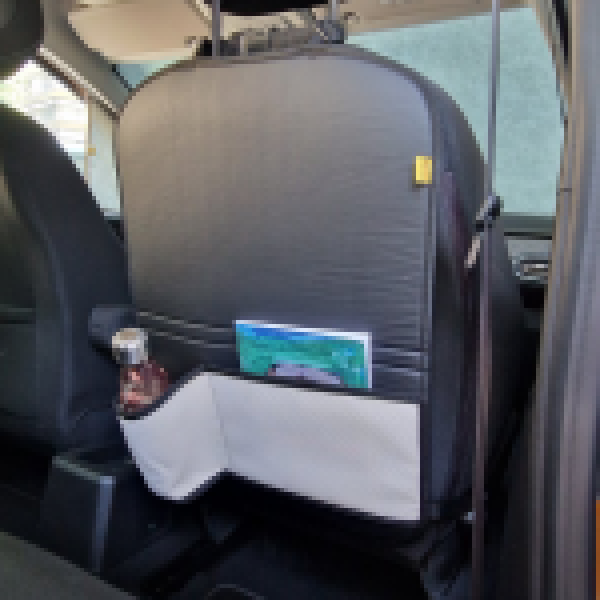 Car Organizer Holder - Colored Mesh