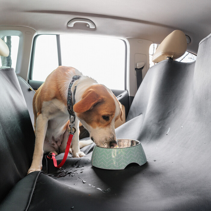 Waterproof Car Seat Dog Cover with Front Headrest Application