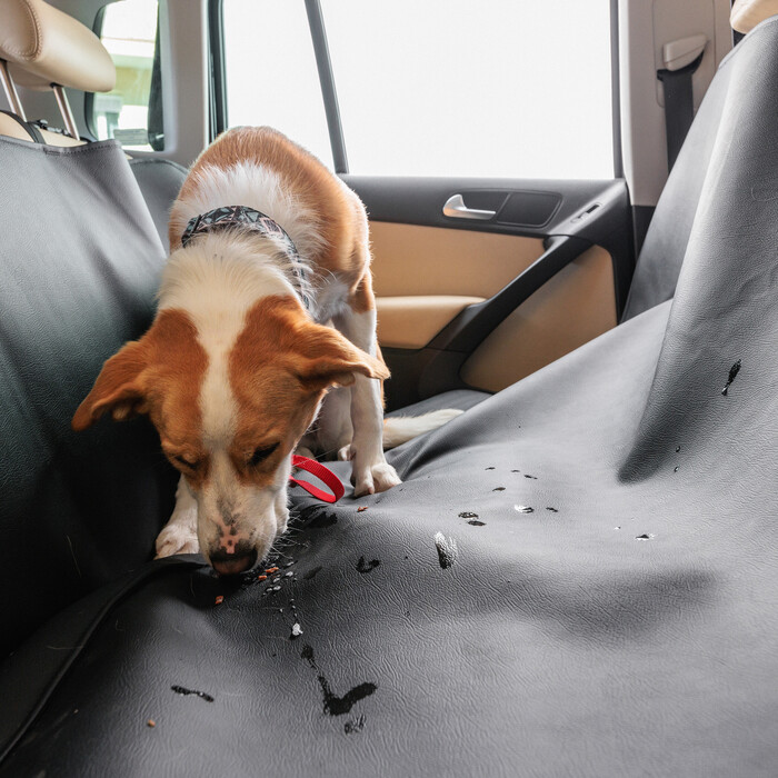 Waterproof Car Seat Dog Cover with Front Headrest Application
