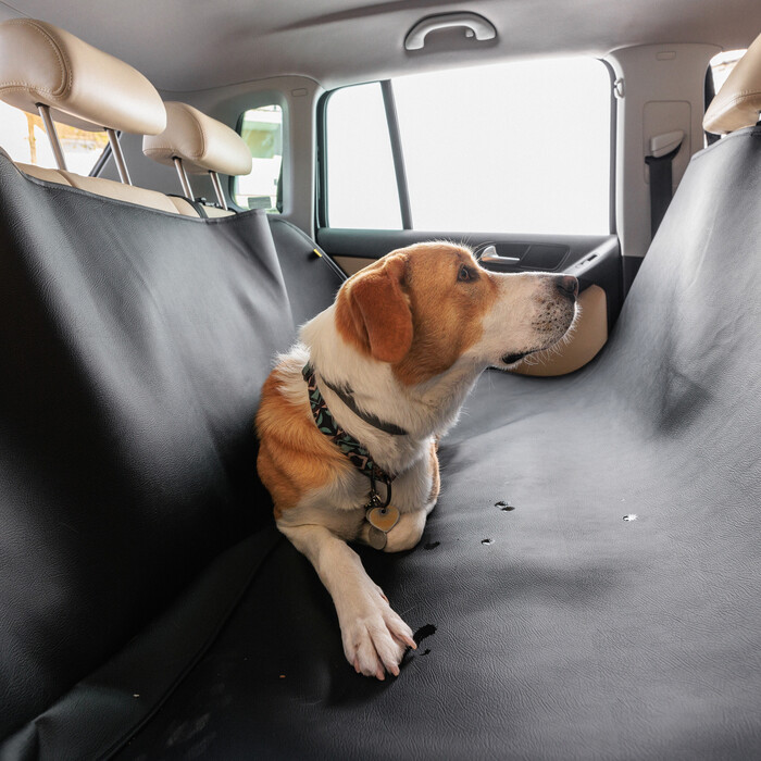 Waterproof Car Seat Dog Cover with Front Headrest Application