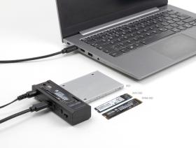 DELOCK docking station για M.2 NVMe/SATA ή 2.5"/3.5" SSD/HDD 64252, 10Gbps, clone function, μαύρο