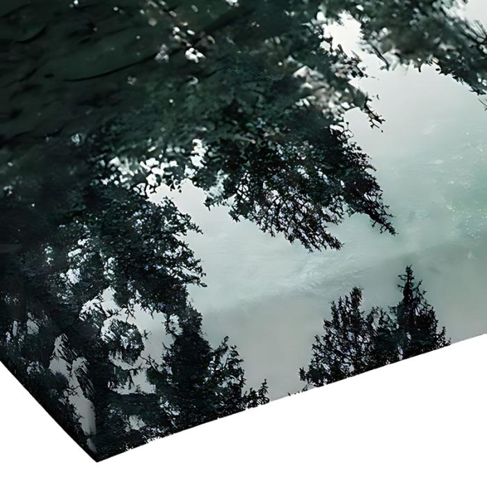 Πίνακας σε καμβά Siely με ψηφιακή εκτύπωση 40x3x60εκ