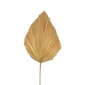 Διακοσμητικό φύλλο Walsy Inart palm leaf σε φυσική απόχρωση Υ135 εκ