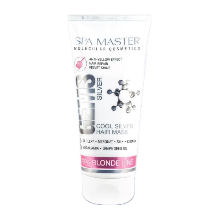Μάσκα Μαλλιών Silver Spa Master Gems Cool Silver Hair Mask Κατά του Κιτρινίσματος 200ml