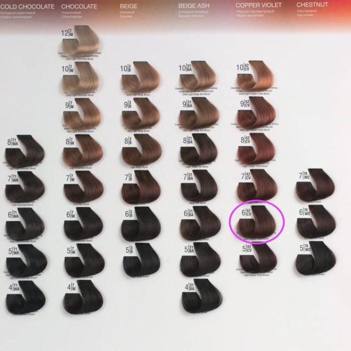 Βαφή Μαλλιών Σωληνάριο Spa Master Cream Color 100ml No6.42 Dark Copper Violet Blond