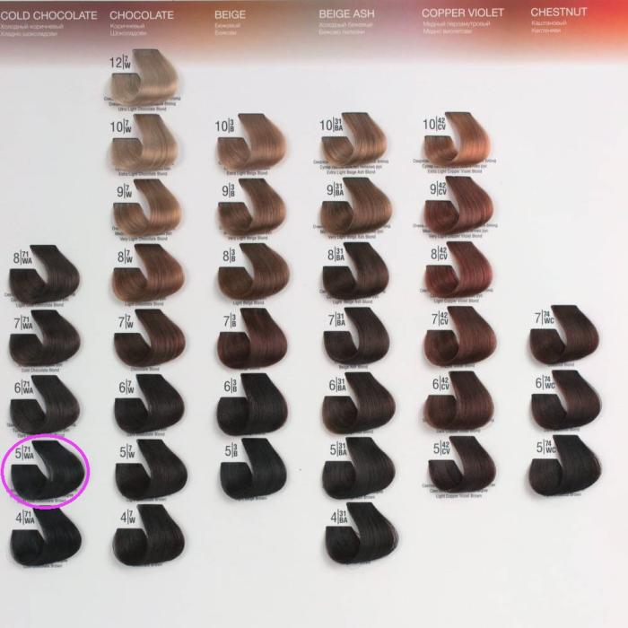 Βαφή Μαλλιών Σωληνάριο Spa Master Cream Color 100ml No5.71 Light Cold Chocolate Brown