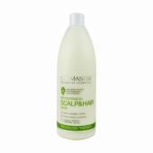 Spa Master Bio-Botanical Scalp and Hair Mask Μάσκα για Τριχωτό και Μαλλιά pH 4,5 970ml
