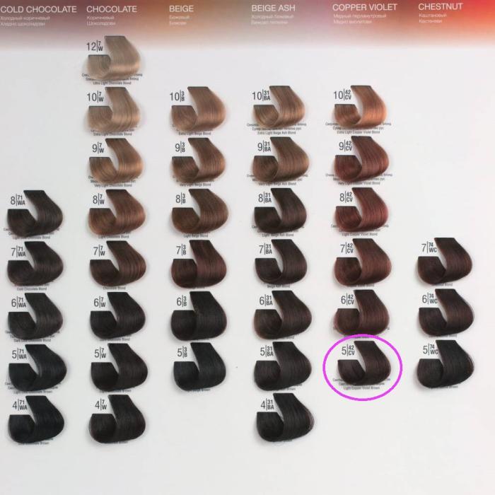 Βαφή Μαλλιών Σωληνάριο Spa Master Cream Color 100ml No5.42 Light Copper Violet Brown