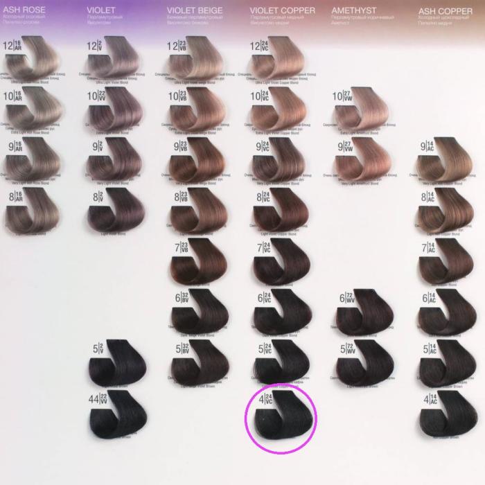 Βαφή Μαλλιών Σωληνάριο Spa Master Cream Color 100ml No4.24 Violet Copper Brown