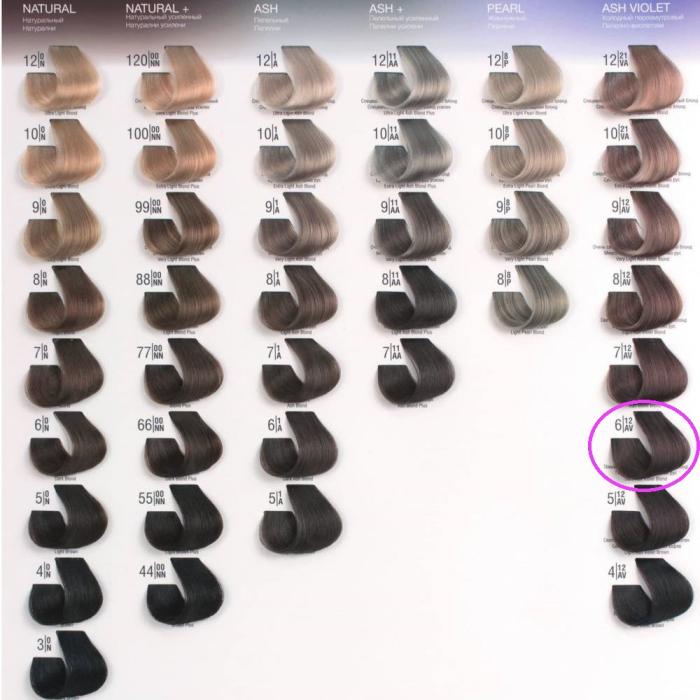 Βαφή Μαλλιών Σωληνάριο Spa Master Cream Color 100ml No6.12 Dark Ash Violet Blond