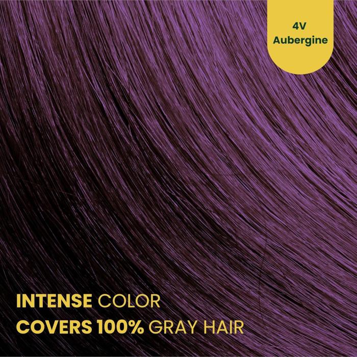 Herbal Time Phytocare Βαφή Μαλλιών Μόνιμη Χωρίς Αμμωνία  -4V Μελιτζανί