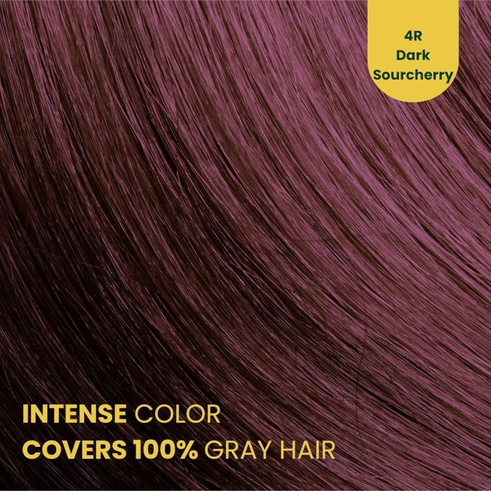 Herbal Time Phytocare Βαφή Μαλλιών Μόνιμη Χωρίς Αμμωνία  -4R Σκούρο Βυσσινί