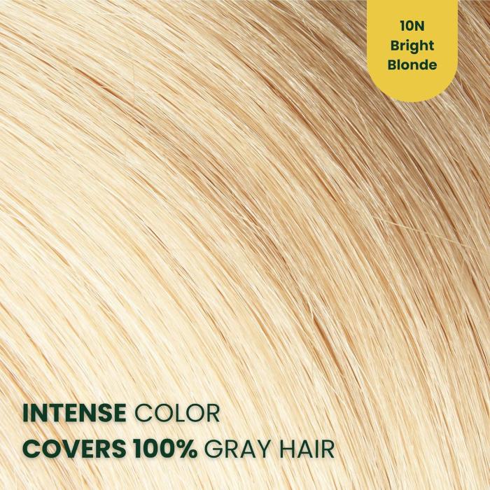 Herbal Time Phytocare Βαφή Μαλλιών Μόνιμη Χωρίς Αμμωνία  -10N Ψυχρό Ξανθό