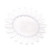 Νυχιέρα Στρόγγυλη 20 Θέσεων για Δειγματολόγιο Διάφανη