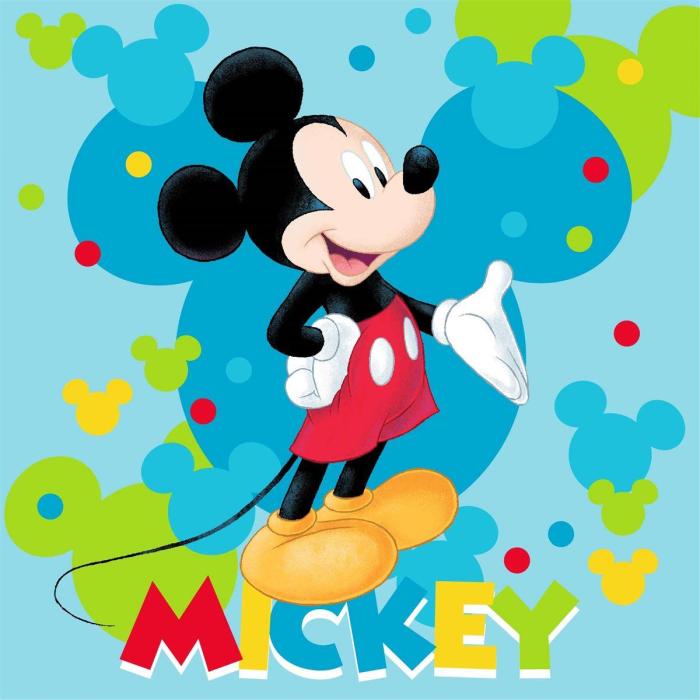 Λαβέτα Νηπιαγωγείου Disney Home Mickey 73 30X30 Turquoise 100% Polyester