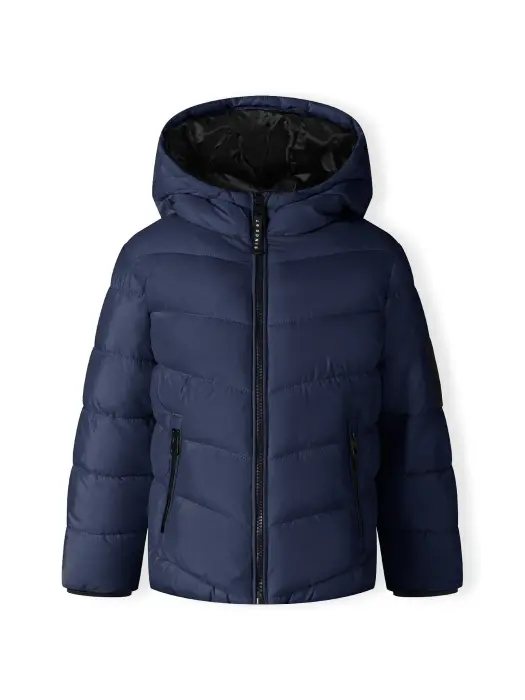 Παιδικό Μπουφάν Αγόρι Minoti 19COAT49