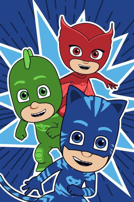 ΠΕΤΣΕΤΑ DISNEY PJ MASKS 20 40Χ60 Digital Print