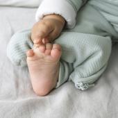 Bemini Magic Bag® 2.5Tog Mint Organic Cot.4-12M.