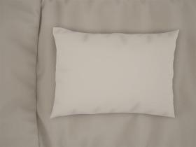 Μαξιλαροθήκες Ζεύγος Exotic Line 50X70+15 Beige 100% Cotton