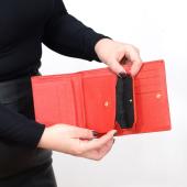 ΔΕΡΜΑΤΙΝΟ ΠΟΡΤΟΦΟΛΙ ΓΥΝΑΙΚΕΙΟ 024 RED
