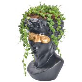 Αρχαιοελληνικό πρόσωπο με χρυσή λεπτομερεία και φυτό 