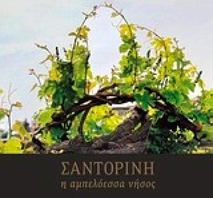 ΣΑΝΤΟΡΙΝΗ, Η ΑΜΠΕΛΟΕΣΣΑ ΝΗΣΟΣ