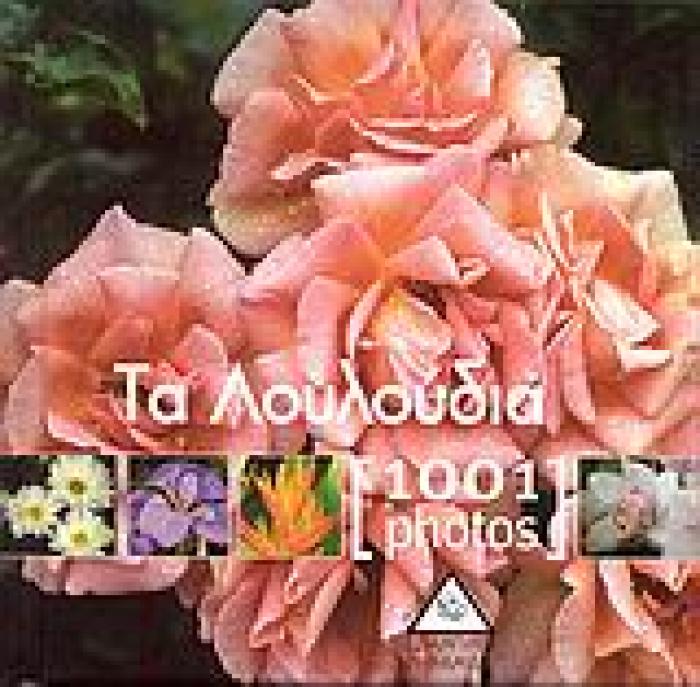ΤΑ ΛΟΥΛΟΥΔΙΑ [1001 PHOTOS]
