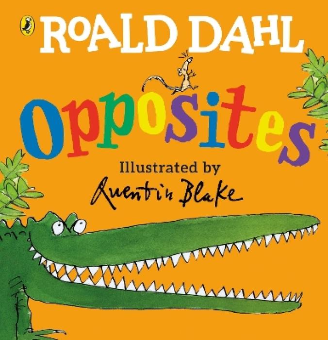 ROALD DAHLS : ROALD DAHLS OPPOSITES PB