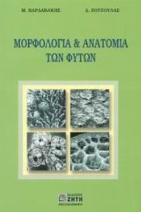 ΜΟΡΦΟΛΟΓΙΑ ΚΑΙ ΑΝΑΤΟΜΙΑ ΤΩΝ ΦΥΤΩΝ