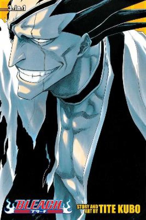 BLEACH: 3-IN-1 ED V05 PA : INCLUDES VOLS. 13, 14   15