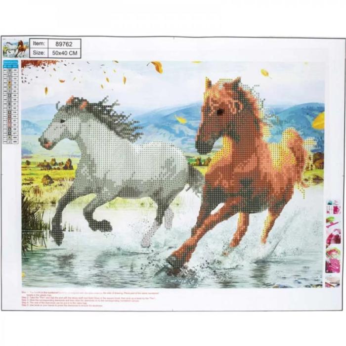 ΚΑΤΑΣΚΕΥΕΣ DIAMOND PAINTING 40x50 89762