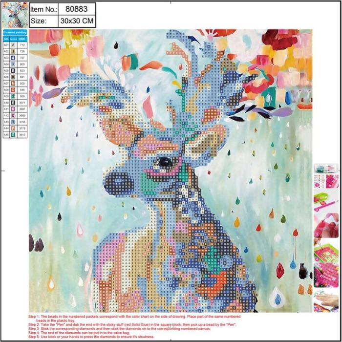ΚΑΤΑΣΚΕΥΕΣ DIAMOND PAINTING 30x30 80883
