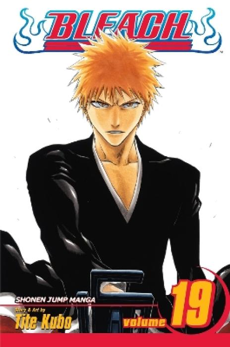 BLEACH 19  PA