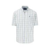 Seasonal Combi Check, B.D., 1/2 - 1513  5351 - FYNCH HATTON