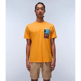 APRICOT