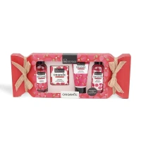 Organic Red Fruit Complete Gift Set