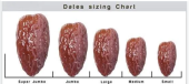 Χουρμάδες Βασιλικοί Super Jumbo - Dried Medjoul Super Jumbo