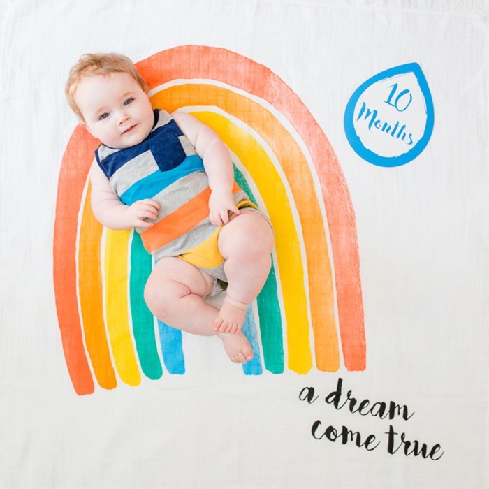 Lulujo Mουσελίνα Φωτογράφισης + κάρτες – A Dream Come True LJ585