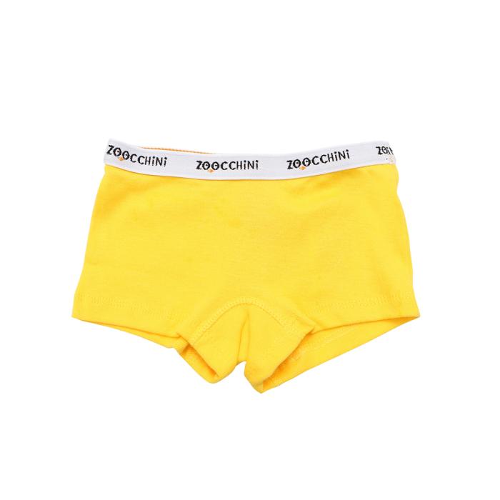 100% οργανικά βαμβακερά Hipsters 3 pc set -Flower Power - 5-6 ΕΤΩΝ