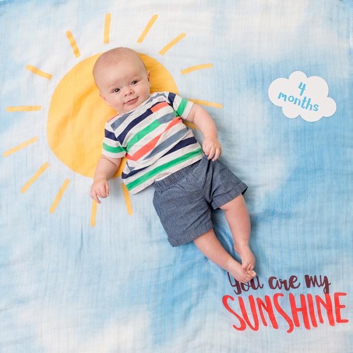Lulujo Mουσελίνα Φωτογράφισης   Κάρτες- You Are My Sunshine