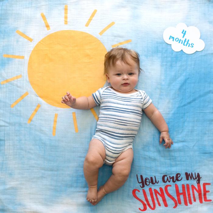 Lulujo Mουσελίνα Φωτογράφισης   Κάρτες- You Are My Sunshine