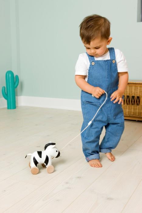 Robert the pull along zebra