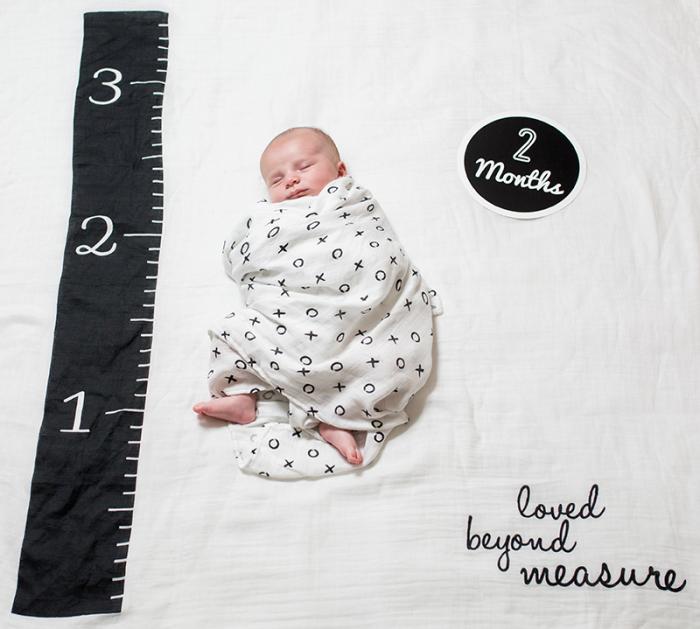 Lulujo  Mουσελίνα Φωτογράφισης   Κάρτες – Loved Beyond Measure