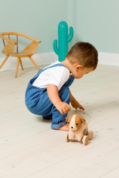 Adrien the pull along dog