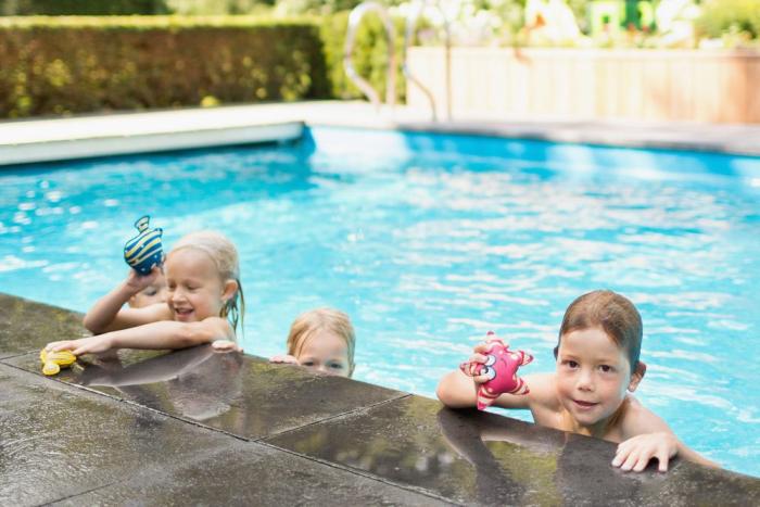 BS Toys Diving animals