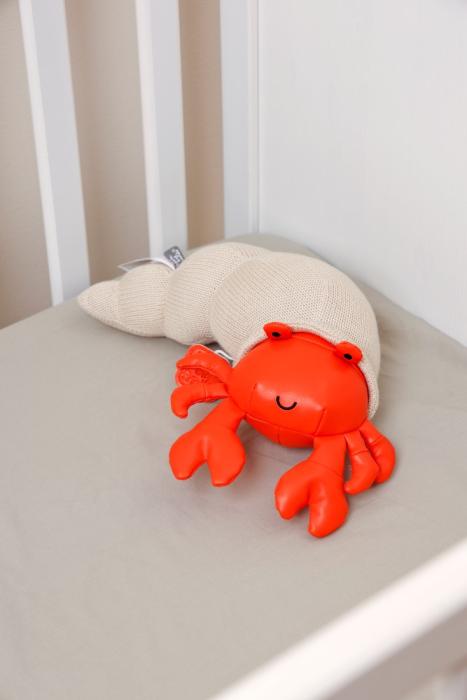 Musical Animals – Brigitte the Ermit Crab