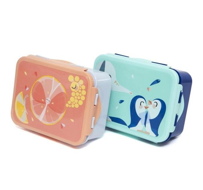 Petit Monkey – Lunch Box Flies
