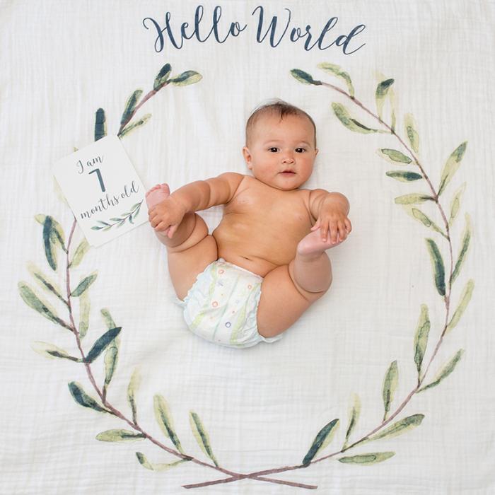 Mουσελίνα Φωτογράφισης Κάρτες- Hello World